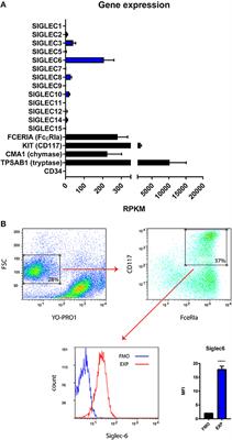 Functional Inhibitory Siglec-6 Is Upregulated in Human Colorectal Cancer-Associated Mast Cells